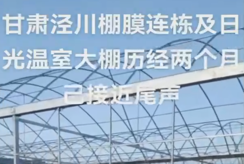 甘肅涇川棚膜連棟大棚及日光溫室大棚歷經兩個月已接近尾聲